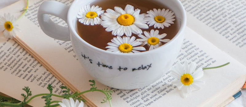 Cup of tea with fresh chamomile flowers