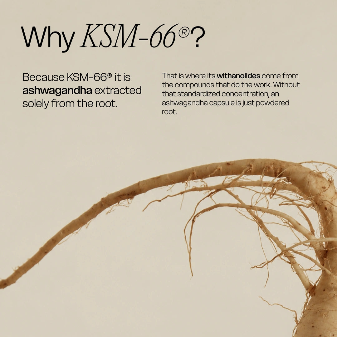 Ashwagandha - 60 Kapseln