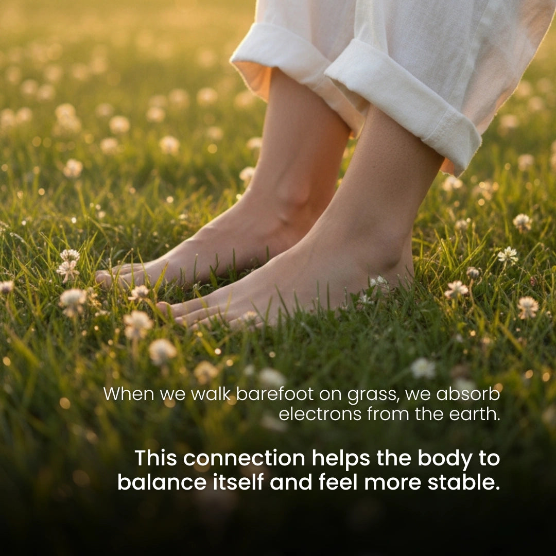 Grounding PRO Bundle