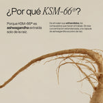 Ashwagandha - 60 Cápsulas