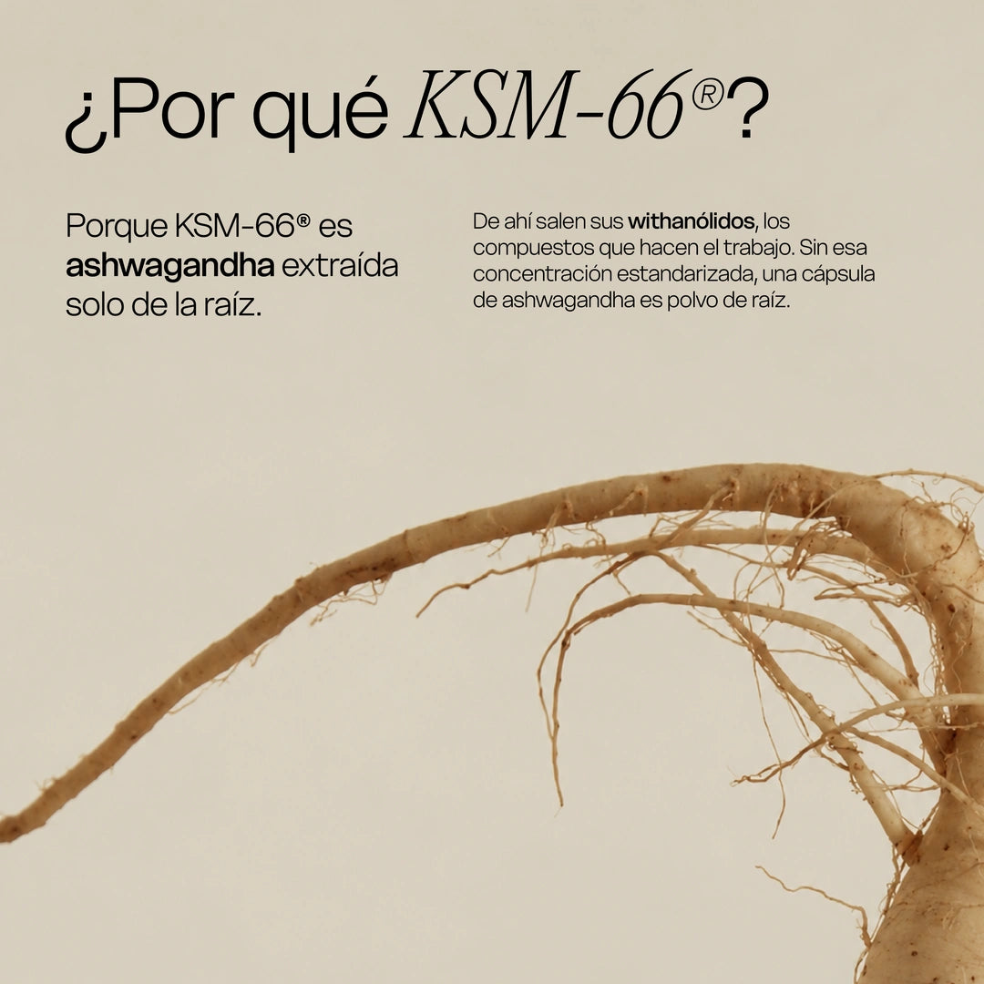 Ashwagandha - 60 Cápsulas
