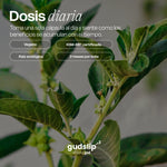 Ashwagandha - 60 Cápsulas