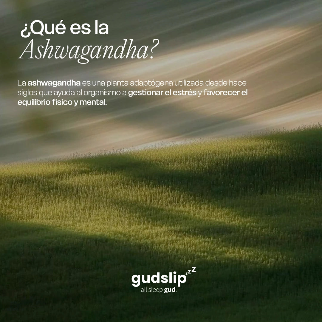 Ashwagandha - 60 Cápsulas