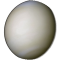 Venus